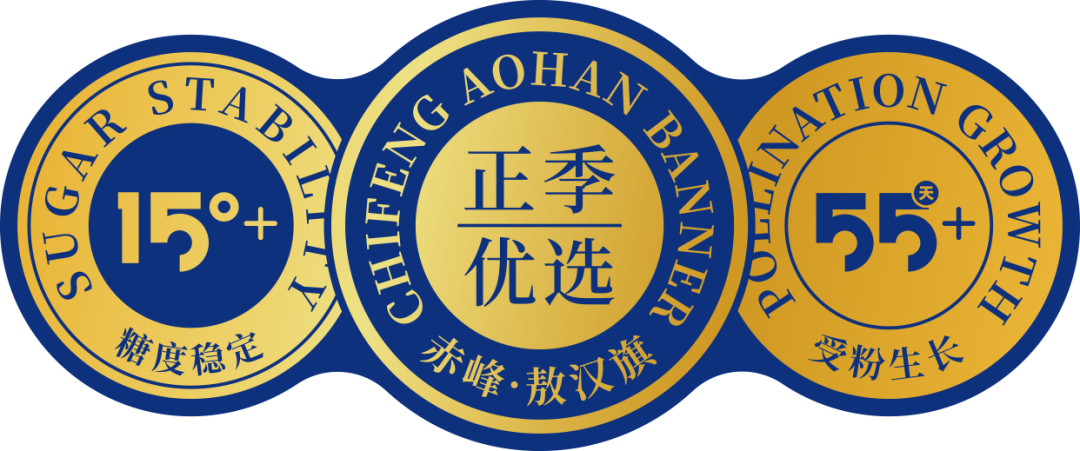 1621474930706628.png 10.png