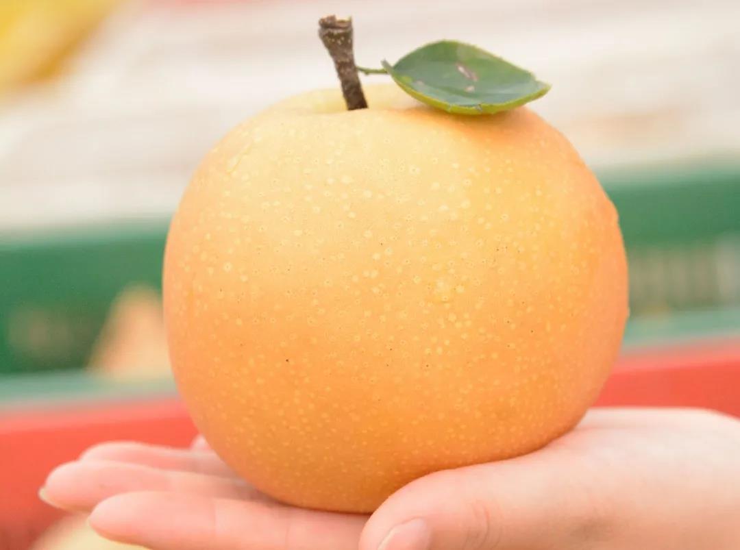 1623833205530124.jpg 1623833205530124.jpg