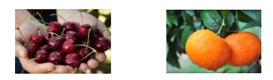 1624251265734678.png 微信圖片_20210621125416.png