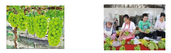 1624251599246835.png 微信圖片_20210621125805.png