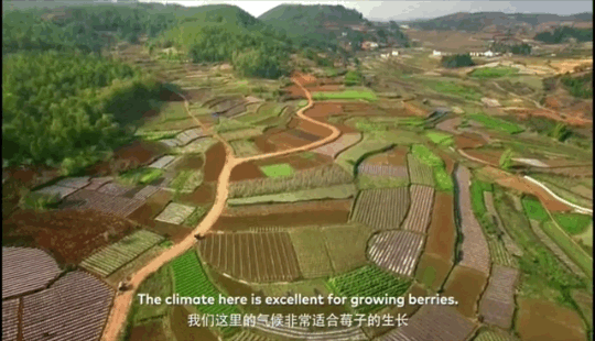 1624258914166873.png ia_1700000009_結(jié)果.png