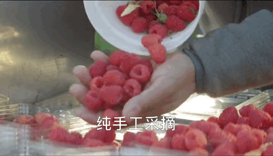 1624259289326422.png ia_1700000915_結(jié)果.png