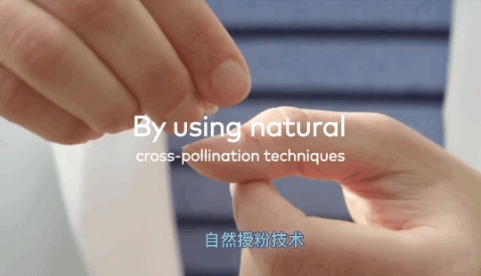 1624259532992979.png ia_1700000913_結(jié)果.png