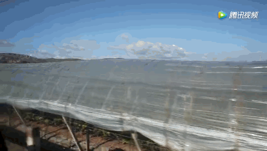 1624259624656363.png ia_1700000019_結(jié)果.png