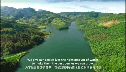 1624259648794807.png ia_1700000020_結(jié)果.png