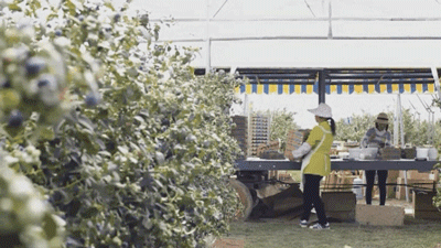 1624259914377604.png ia_1700000029_結(jié)果.png