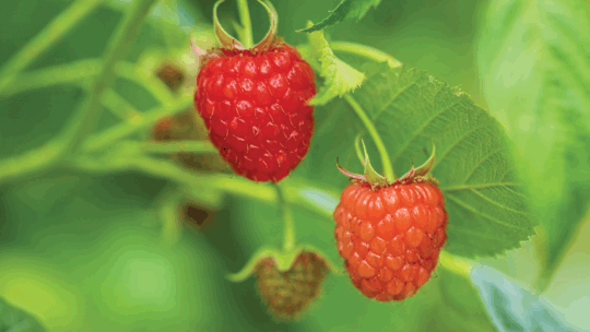 1624260963808901.png ia_1700000039_結(jié)果.png