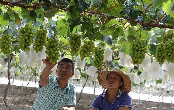 1624282844291391.jpg ia_2300000006.jpg