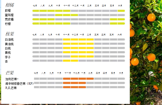 1624849470229520.png ia_3900000662.png