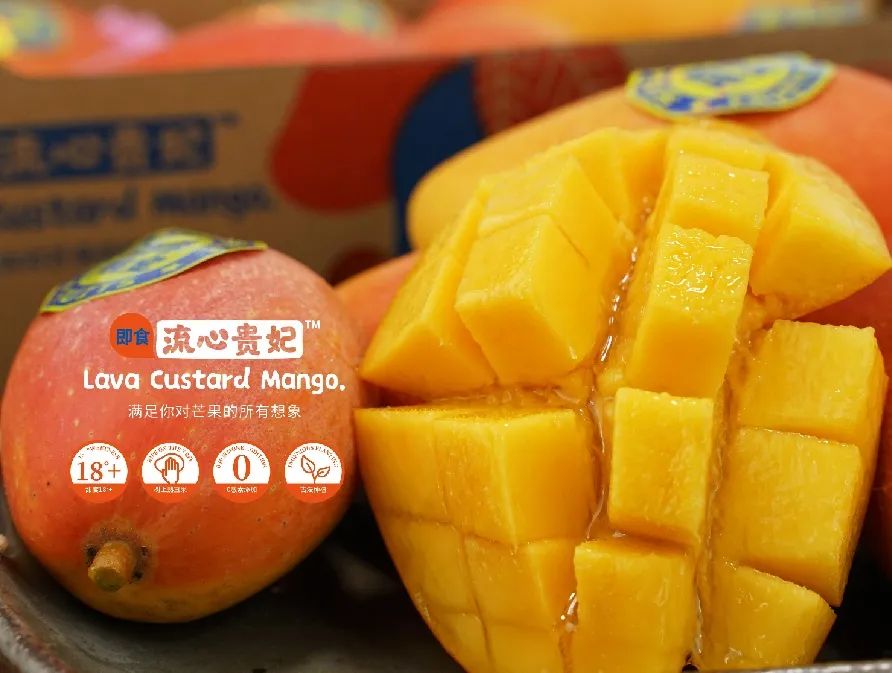 1625321801591788.jpg 1625321801591788.jpg