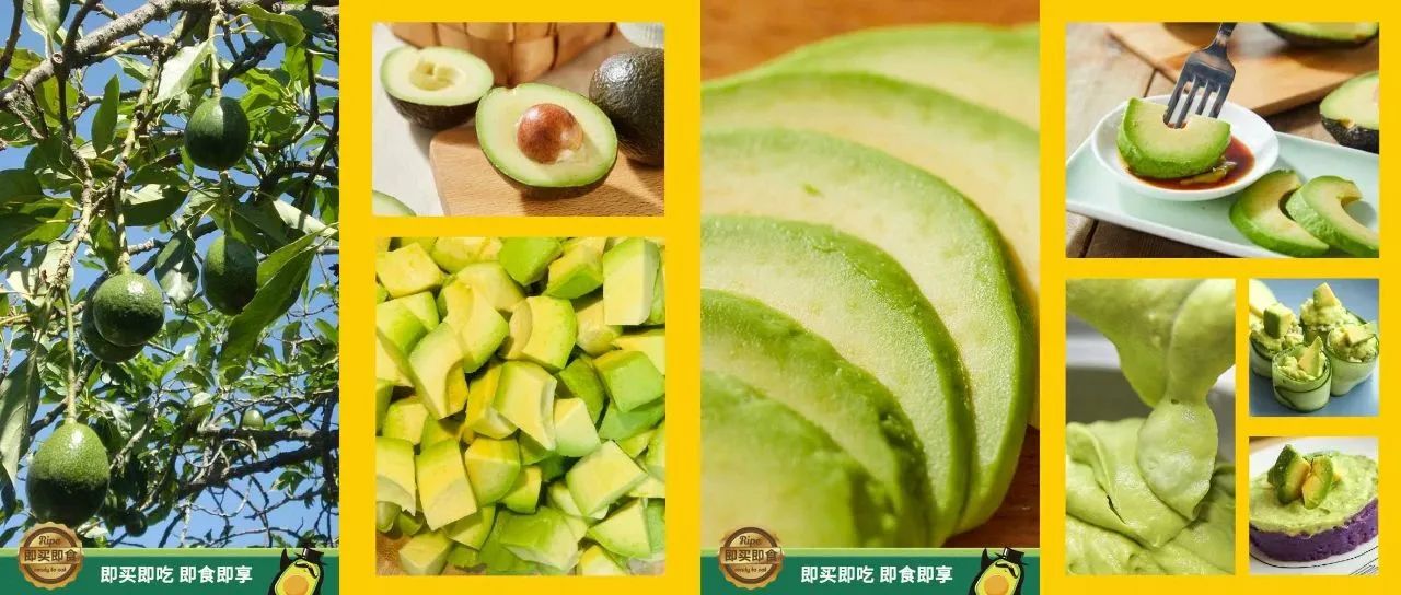 微信圖片_20250701143206.jpg